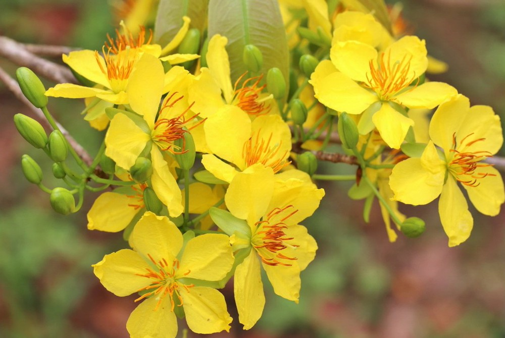 （示意圖源：互聯網）