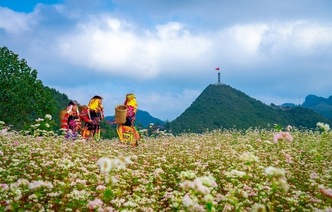 每月旅遊景點推介 ảnh 10