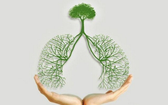 （示意圖源：互聯網） 