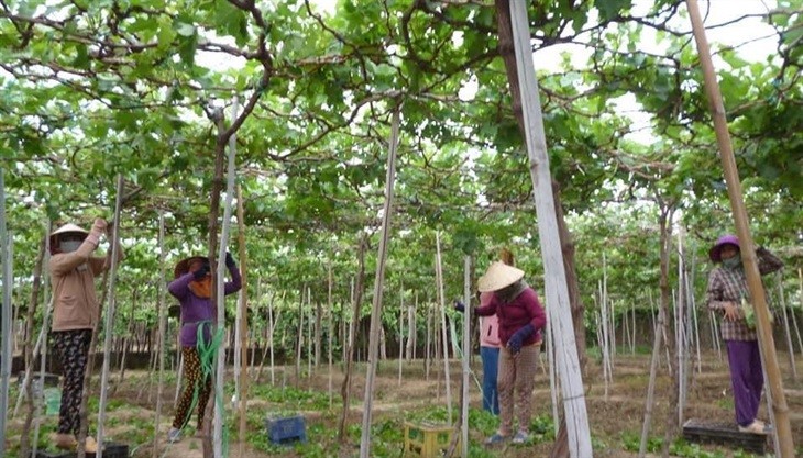 （示意圖源：互聯網） 