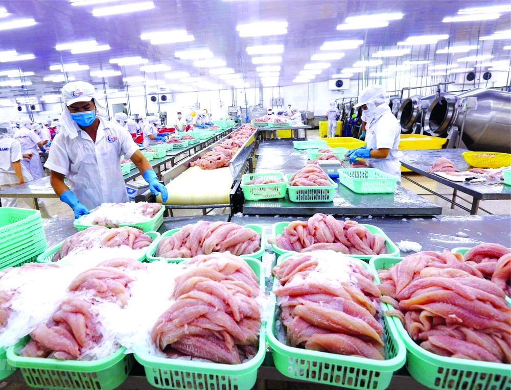 我國水產品外銷歐洲市場。