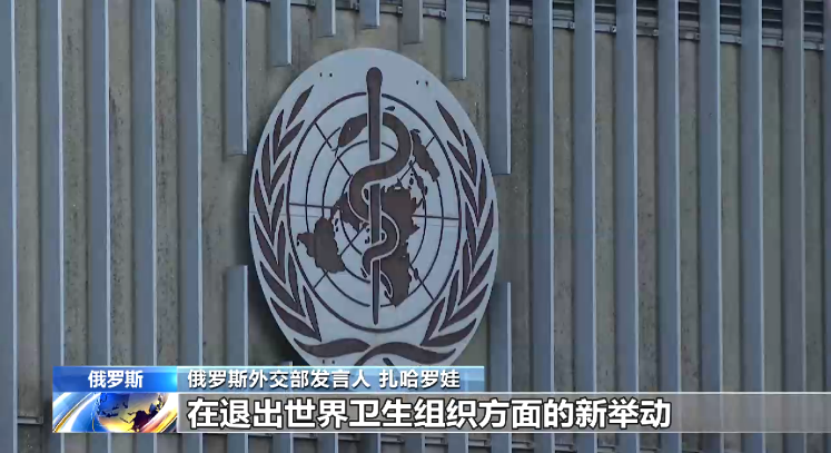 （圖源：互聯網） 