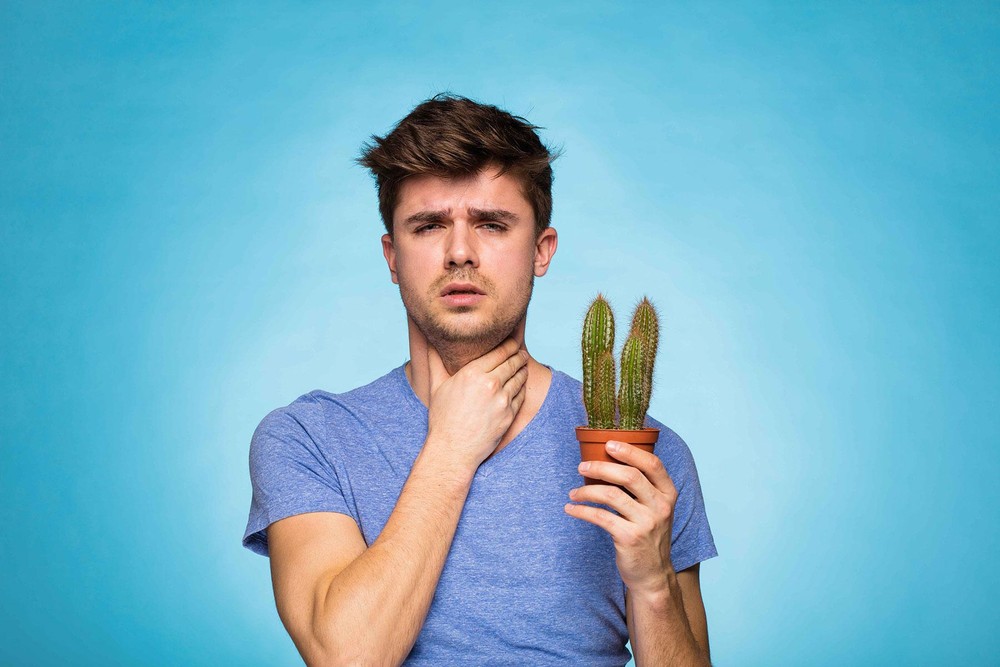 （示意圖源：互聯網） 