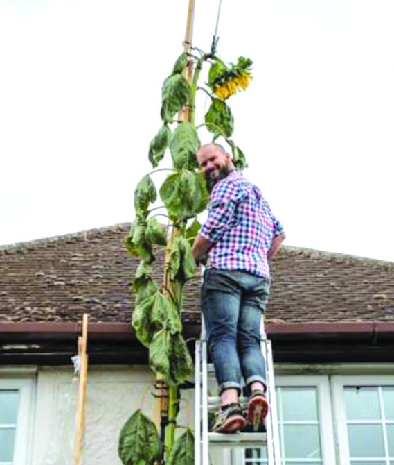 （圖源：互聯網） 