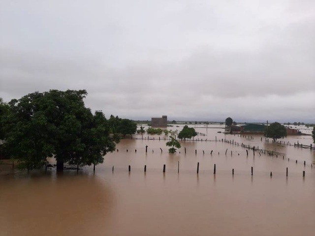 （圖源：互聯網） 