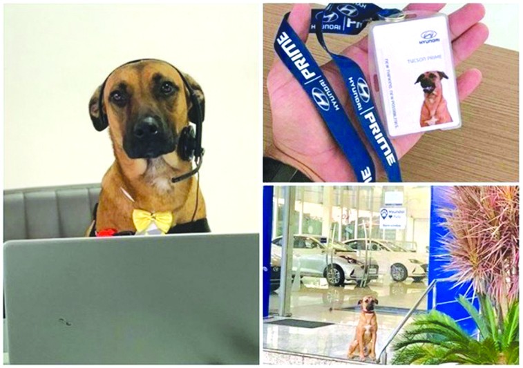 （圖源：互聯網） 