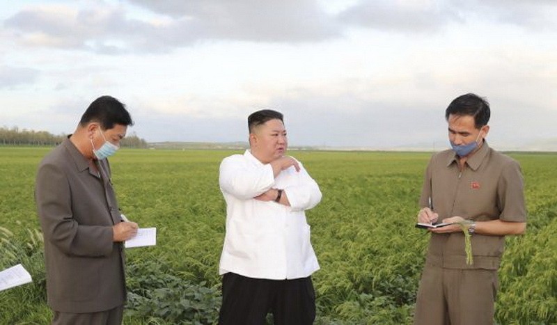 （圖源：互聯網） 