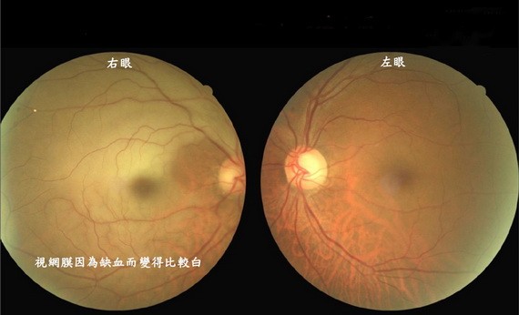 （圖源：互聯網） 