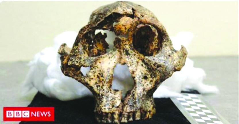 （圖源：互聯網） 