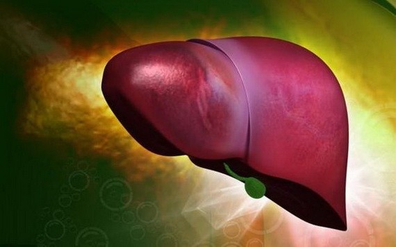 （示意圖源：互聯網） 