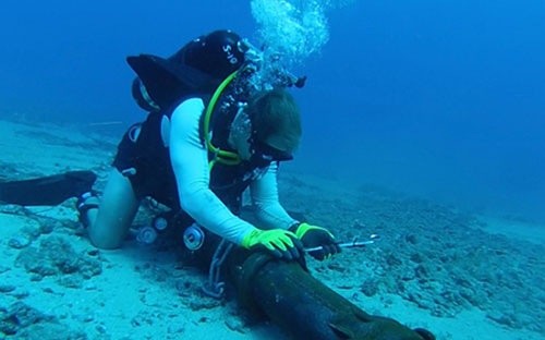 （示意圖源：互聯網） 