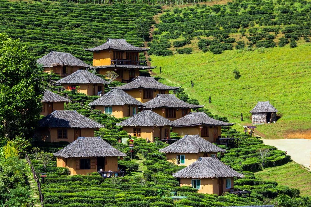 旅遊休閒可吸收文化和自然景觀。