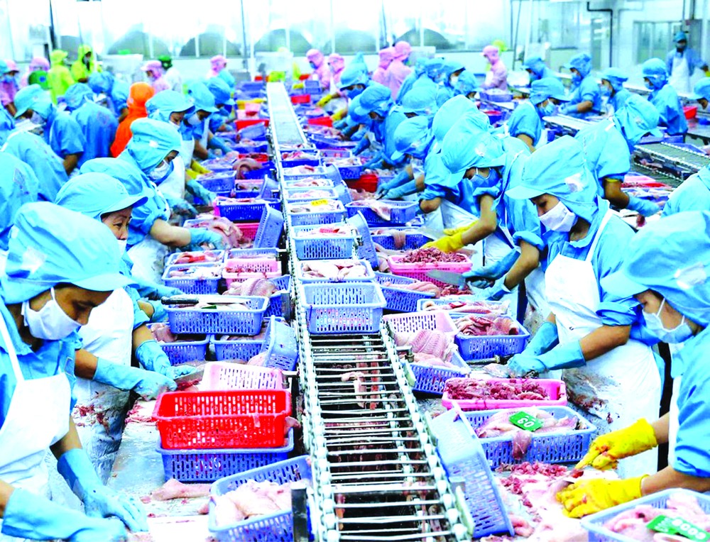 我國水產出口業績可觀。