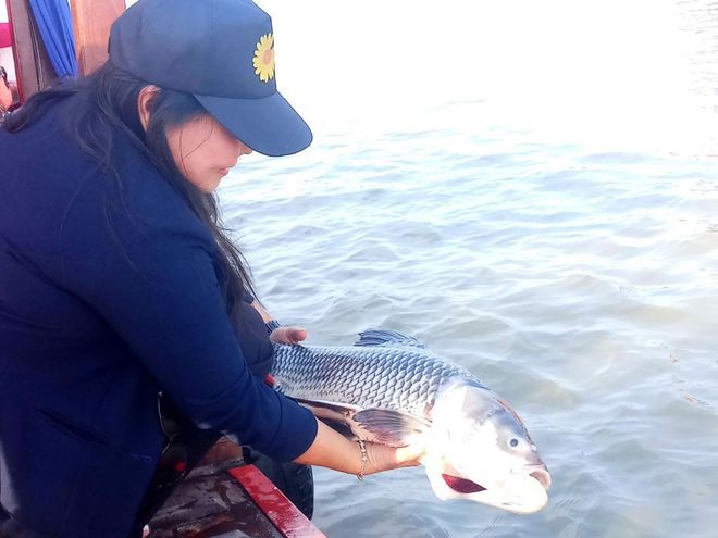 （圖源：互聯網） 