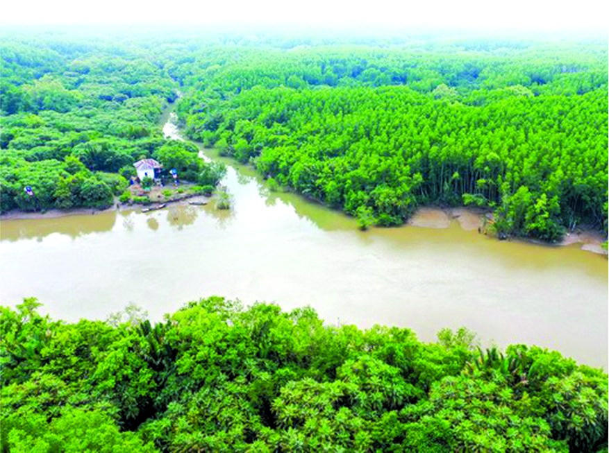 芹耶紅樹林生物圈保護區的總面積逾7萬5000公頃，獲視為全國最大的沿海紅樹林之一。