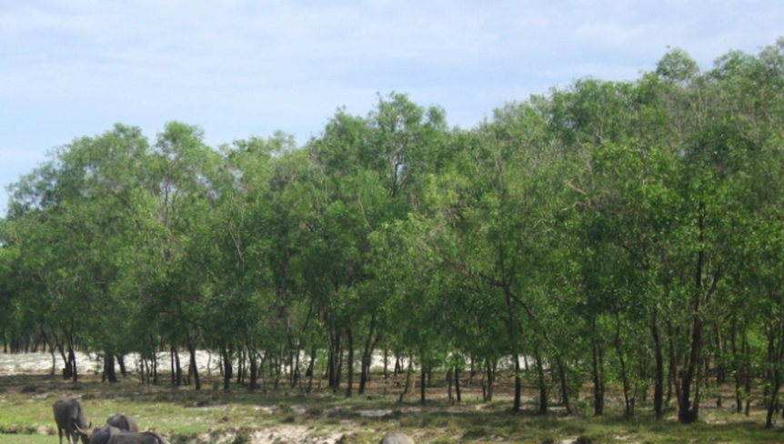 （圖源：互聯網） 