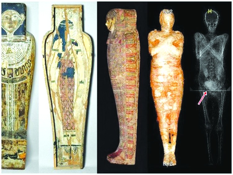 （圖源：互聯網） 