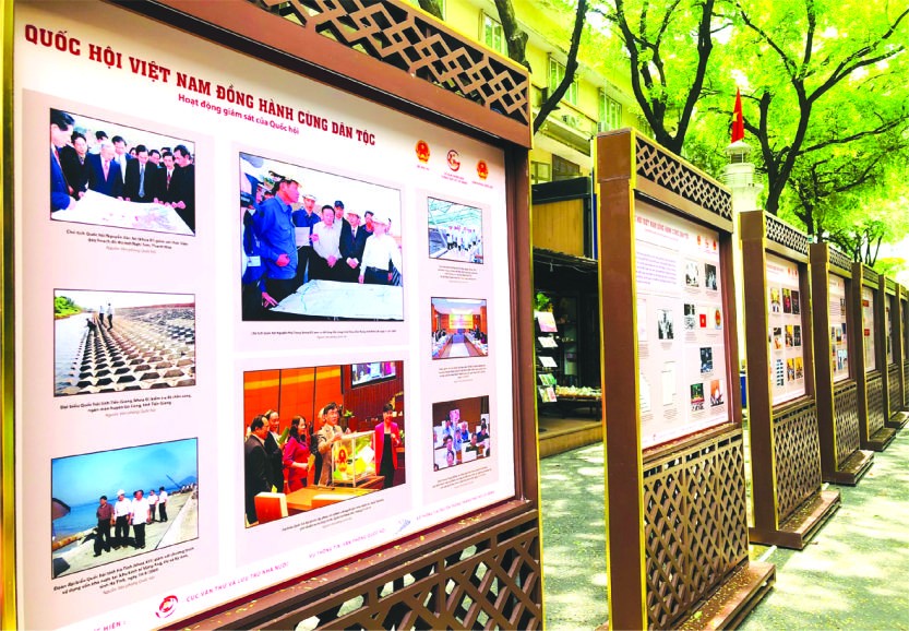 選民喜迎選舉盛會 ảnh 3