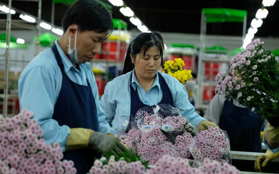 （圖源：互聯網） 