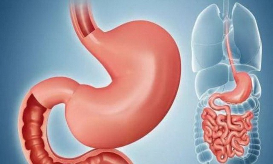 （示意圖源：互聯網） 