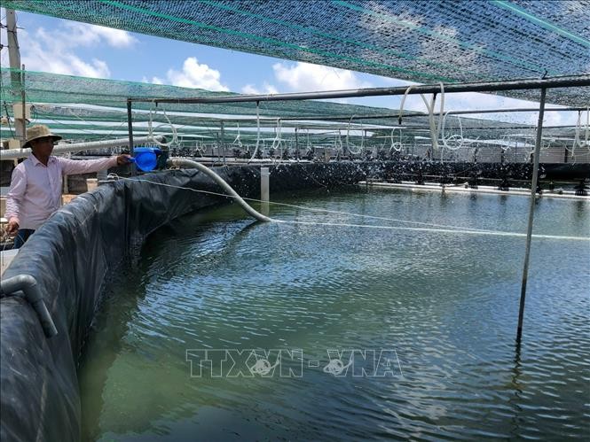 （圖源：TTXVN） 