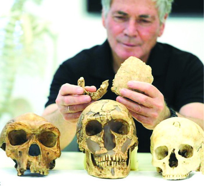 （圖源：互聯網） 