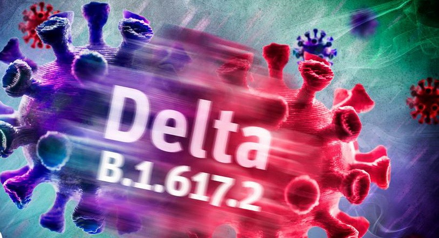 （圖源：互聯網） 