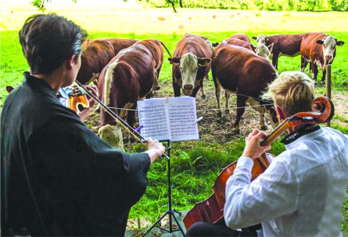 （圖源：互聯網） 