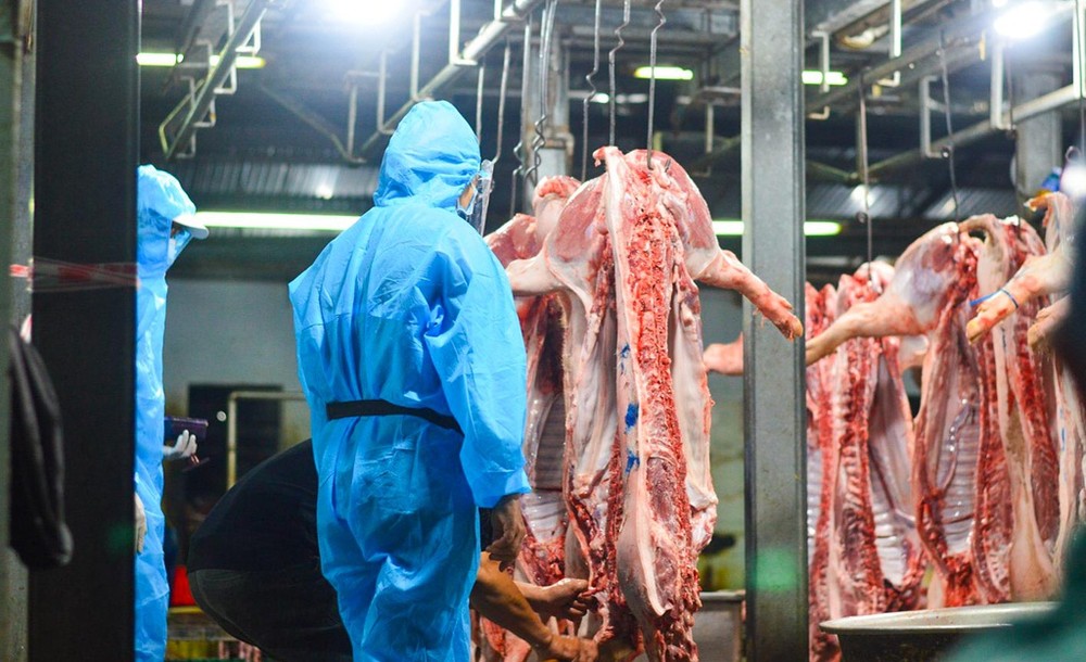 （示意圖源：互聯網） 