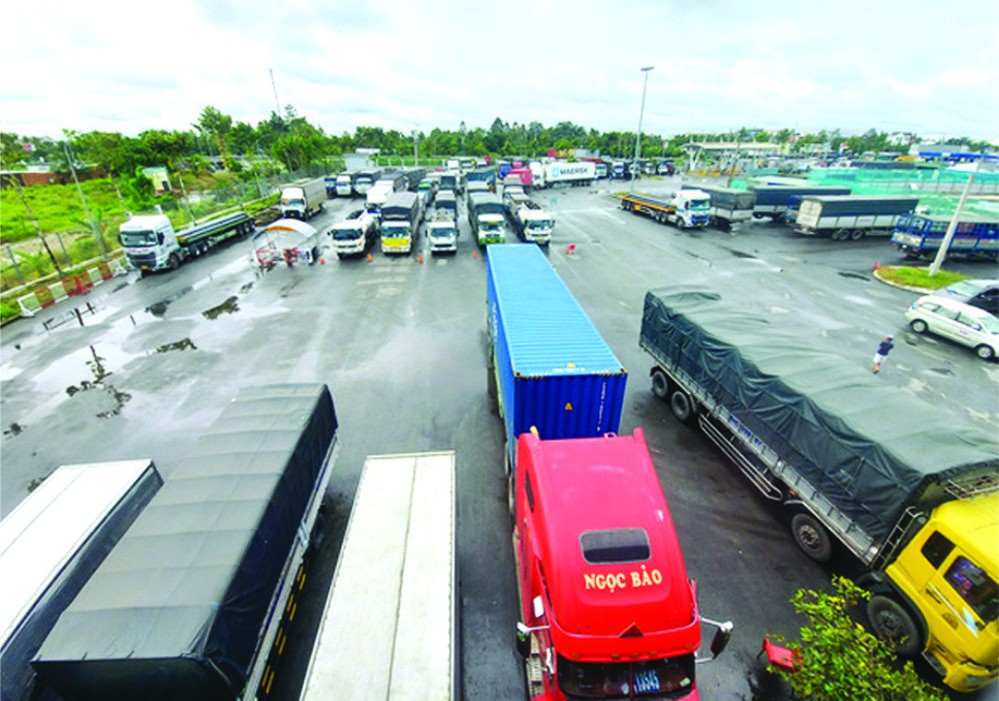 防疫規定不一導致大量貨車滯留。