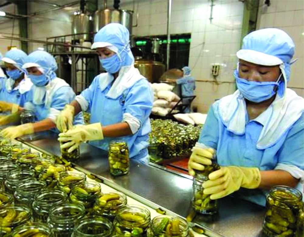 企業加工農產品出口。