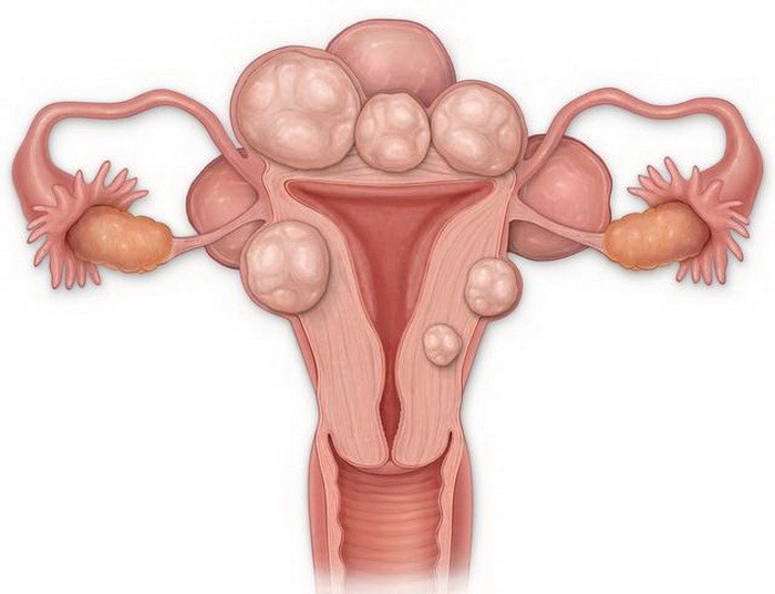 （示意圖源：互聯網）
