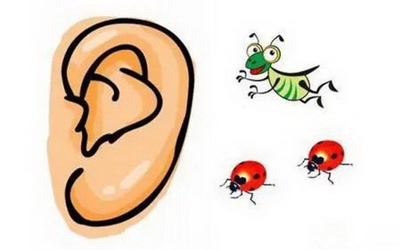 （示意圖源：互聯網）