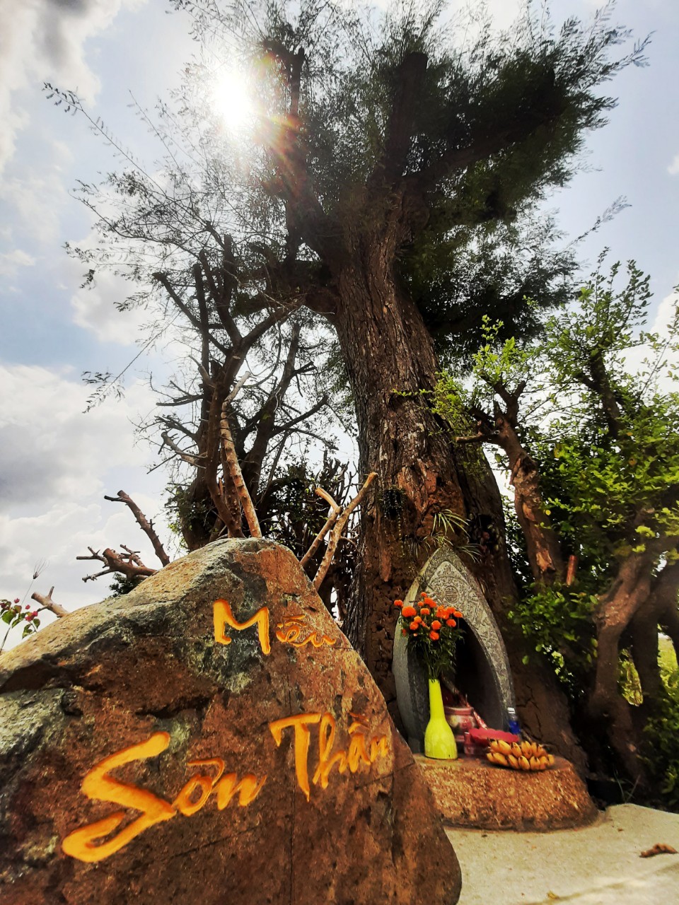 “綠油油草原”敲開春天大門 ảnh 3