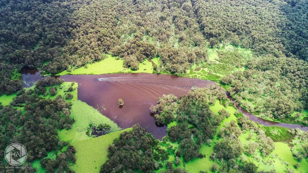 碧綠的水面掀起陣陣波浪、金光閃閃瑰麗無比。