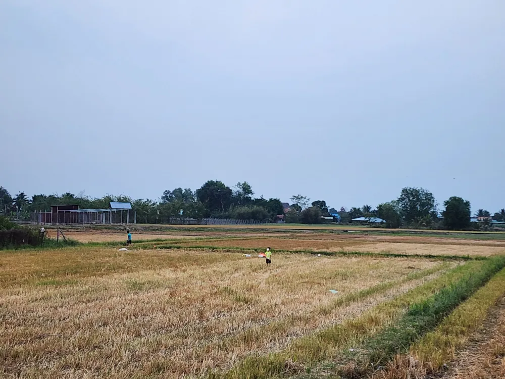 Chủ tịch UBND TPHCM chỉ đạo ngành chức năng có bảng giá đất điều chỉnh vào chiều 16-10