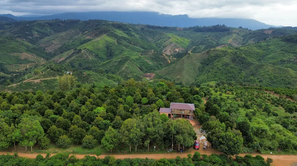 IMG_20241210_194541 (1).jpg