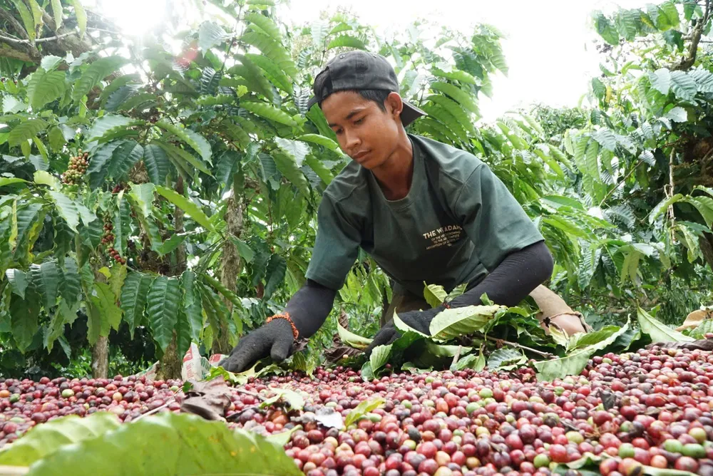 IMG_20250317_152130 (1).jpg