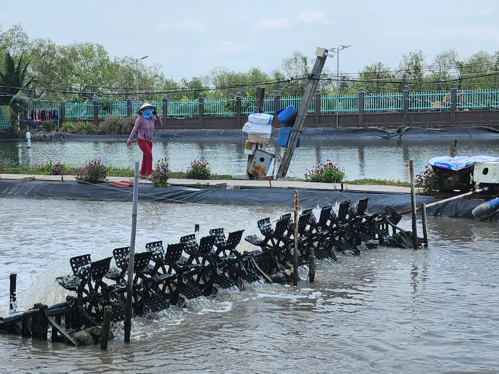 Thay đổi tư duy sản xuất nông nghiệp sang kinh tế nông nghiệp