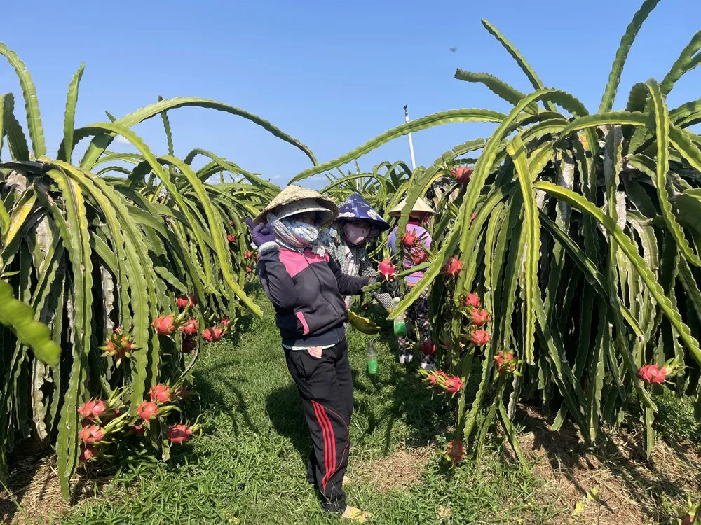 IMG_20240424_105653 (1).jpg