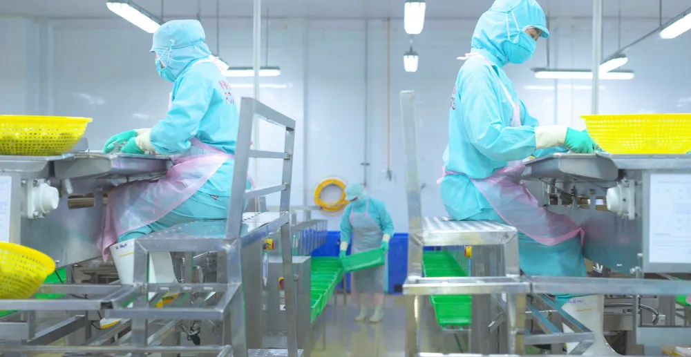 Hình 5 - công ty Minh Phú (1).jpg