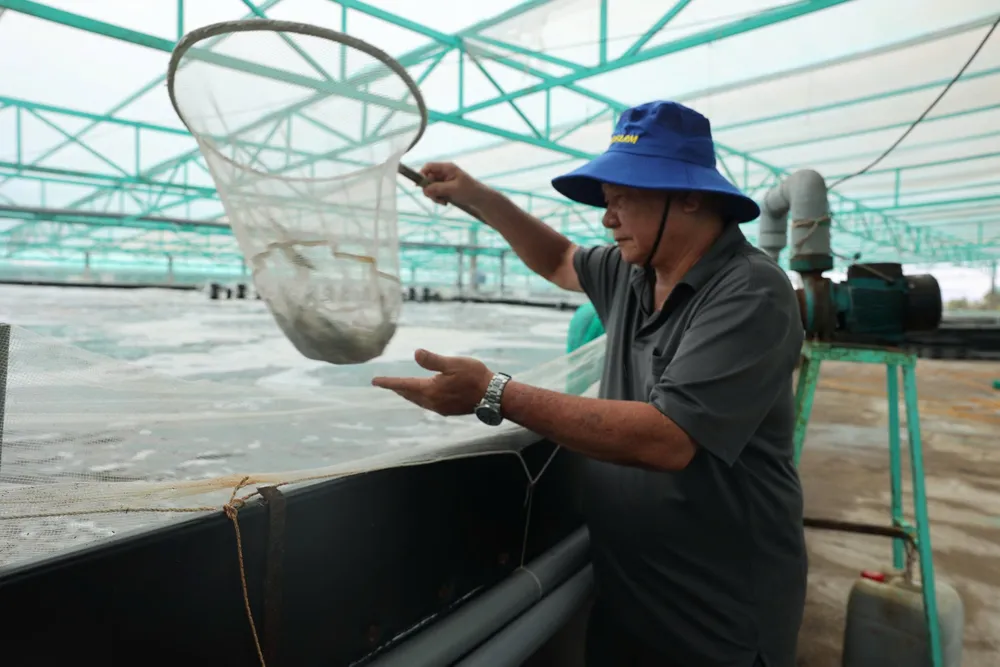 UBND TPHCM phê duyệt kế hoạch phòng, chống dịch bệnh thủy sản giai đoạn 2026 - 2030