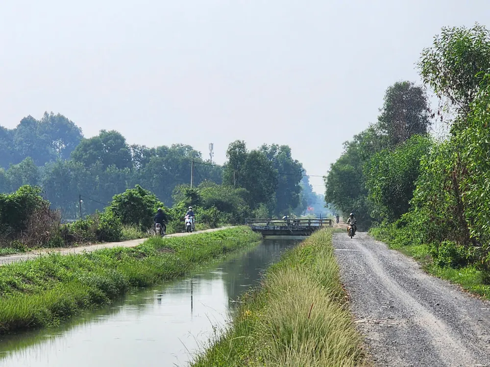 Kênh Đông chảy qua các xã Tân An Hội, Củ Chi... (TPHCM). Ảnh: ĐỨC TRUNG