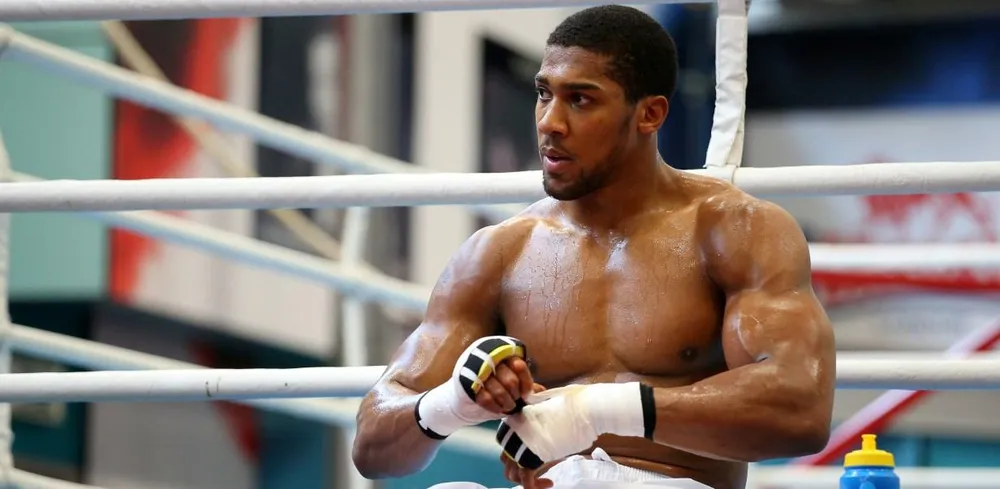 Quyền Anh: Chỉ có 3 người không ấn tượng với chiến thắng của Fury - Joshua, Wilder và Whyte ảnh 1