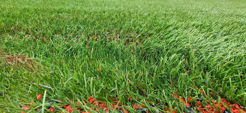 Tiền vệ Đỗ Hùng Dũng: Chúng tôi không sợ Thái Lan, chúng tôi chỉ tôn trọng họ! ảnh 1