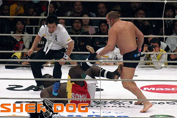 MMA: Gã khổng lồ Zuluzinho đến Nga kiếm vài chục ngàn USD tiền nuôi con, hy vọng tái đấu Emelianenko ảnh 1