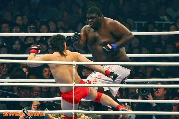 MMA: Gã khổng lồ Zuluzinho đến Nga kiếm vài chục ngàn USD tiền nuôi con, hy vọng tái đấu Emelianenko ảnh 2