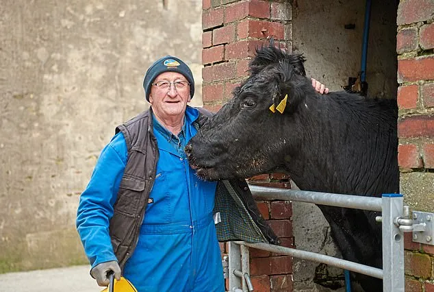 Tyson Fury: Cả thế giới chống Covid-19, anh bận chống… cáo buộc gian lận doping ảnh 1