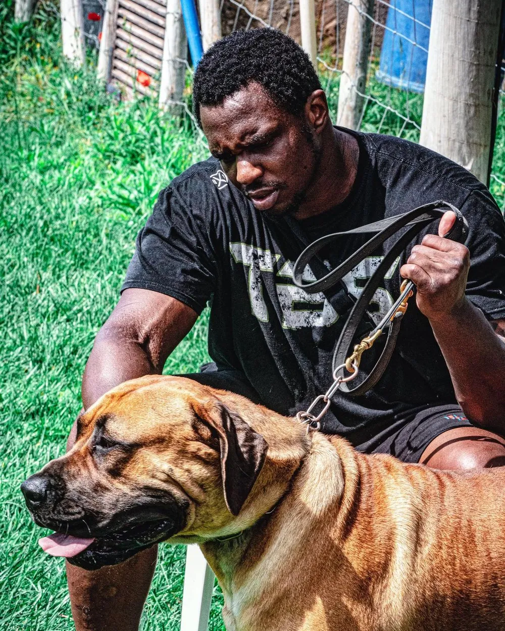 “Quái hiệp” Dillian Whyte: Vẫn không tin “Sư tử trắng nước Nga” Alexander Povetkin mắc… Covid-19 ảnh 1