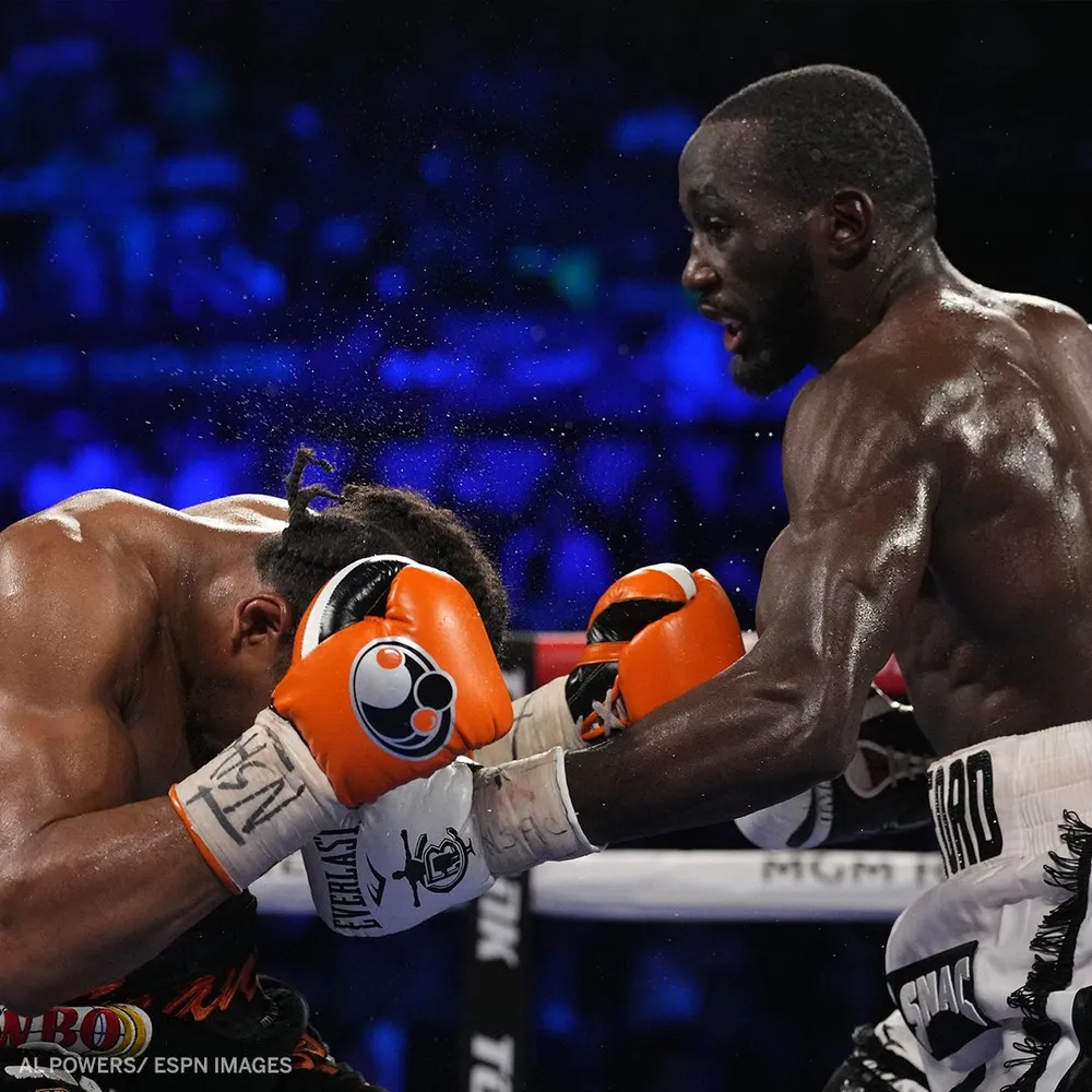 Terence Crawford: Bảo vệ thành công đai bán trung WBO khi góc đài Shawn Porter tung khăn trắng đầu hàng ảnh 4